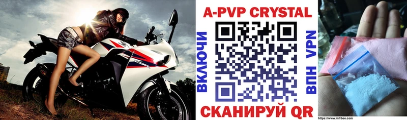 APVP СК КРИС Магас