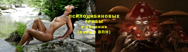 Альфа ПВП Аркадак