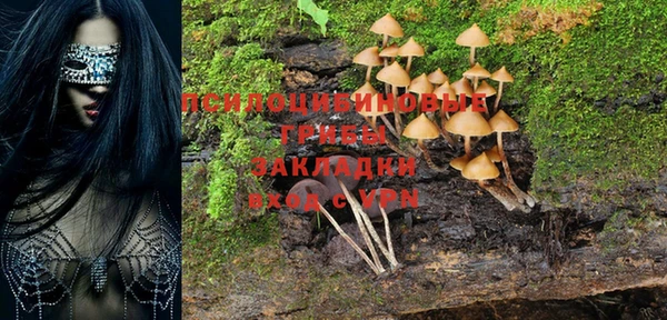 PSILOCYBIN Саяногорск