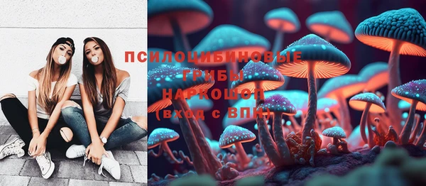 Альфа ПВП Аркадак